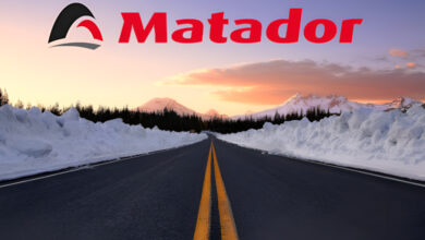 Зимние шины Матадор